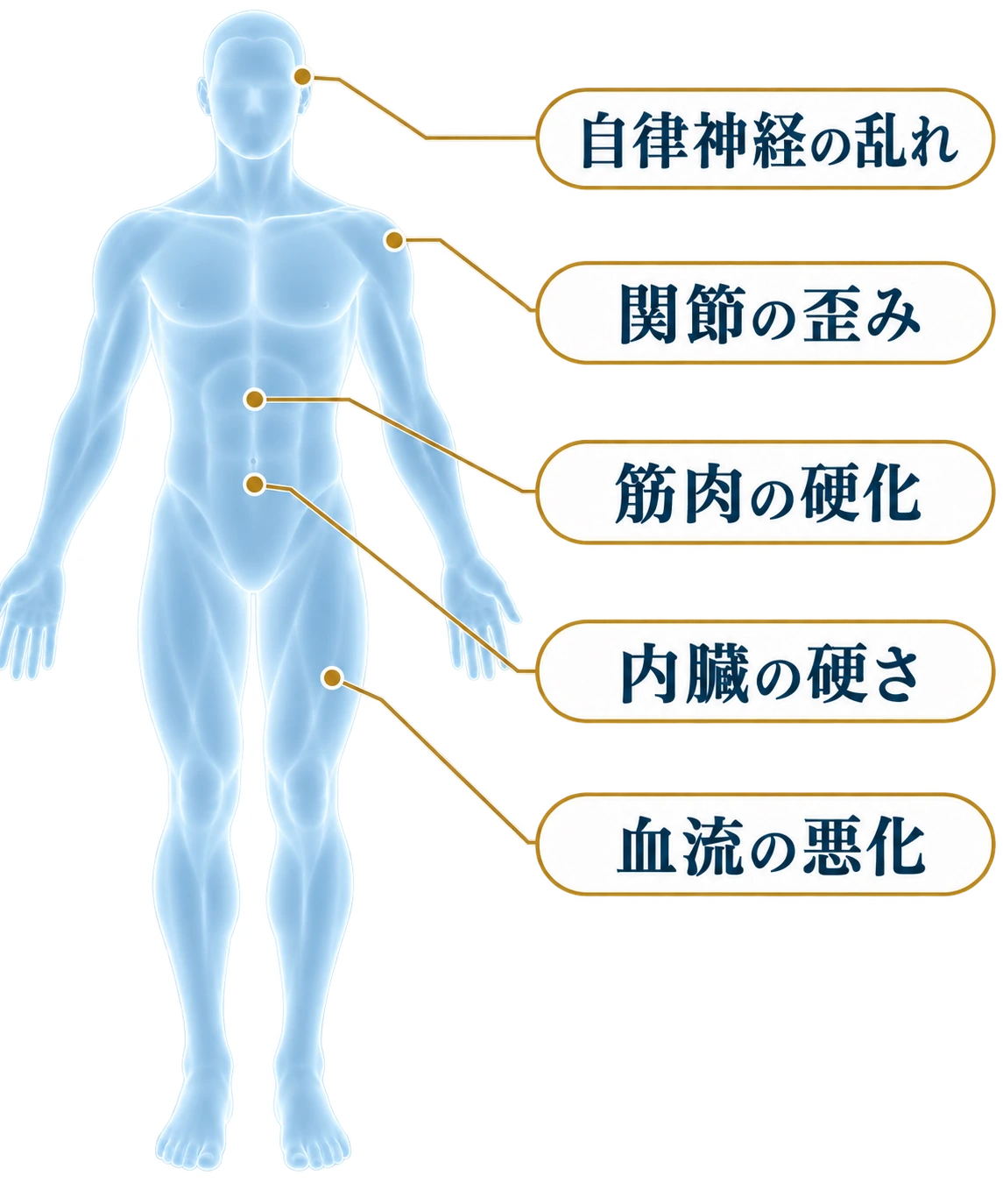 人体模型と原因の図：自律神経の乱れ、関節の歪み、筋肉の硬化、内臓の硬さ、血流の悪化